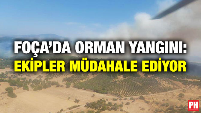 Foça’da Orman Yangını: Ekipler Müdahale Ediyor