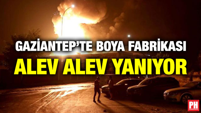 Gaziantep’te Boya Fabrikası Alev Alev Yanıyor