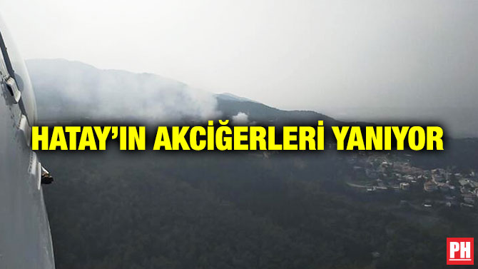 Hatay’ın Akciğerleri Yanıyor