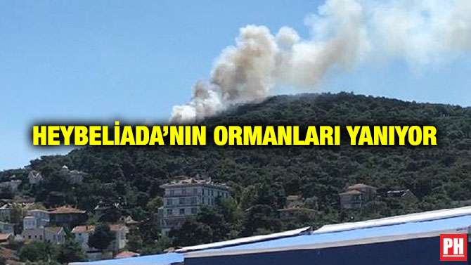 Heybeliada’nın Ormanları Yanıyor
