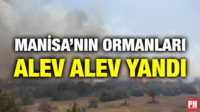 Manisa’nın Ormanları Alev Alev Yandı