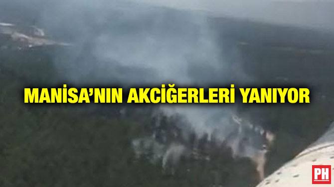 Manisa’nın Akciğerleri Yanıyor
