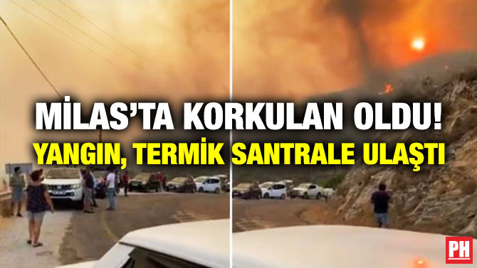 Milas’ta Korkulan Oldu! Yangın, Termik Santrale Ulaştı