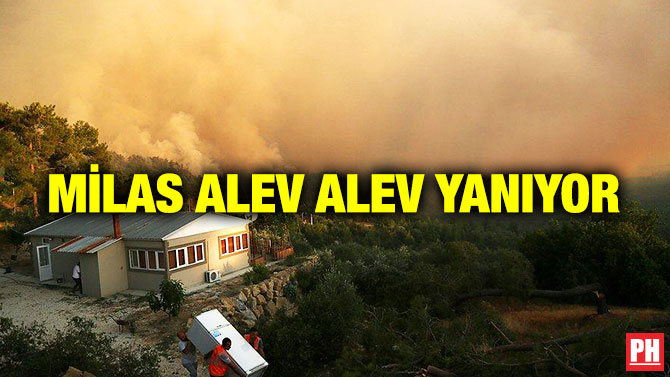Milas Alev Alev Yanıyor