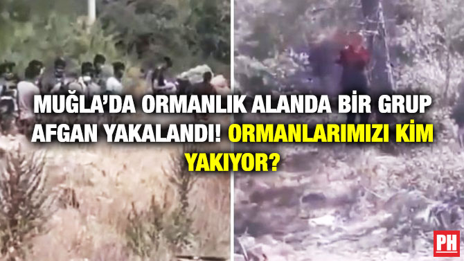Muğla’da Ormanlık Alanda Bir Grup Afgan Yakalandı! Ormanlarımızı Kim Yakıyor?