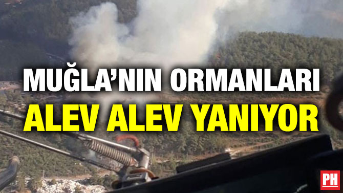 Muğla’nın Ormanları Alev Alev Yanıyor