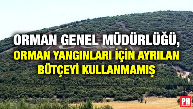 Orman Genel Müdürlüğü, Orman Yangınları için Ayrılan Bütçeyi Kullanmamış