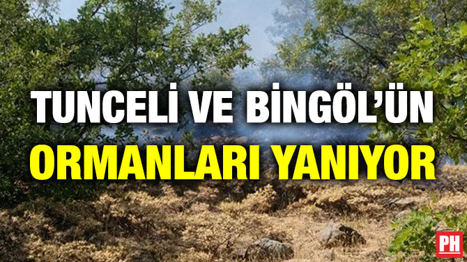 Tunceli ve Bingöl’ün Ormanları Yanıyor