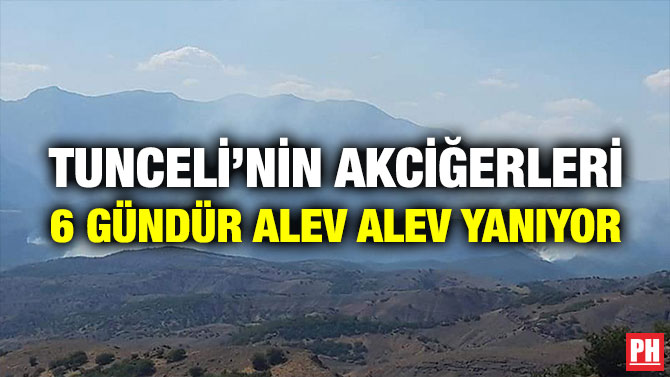 Tunceli’nin Akciğerleri 6 Gündür Alev Alev Yanıyor