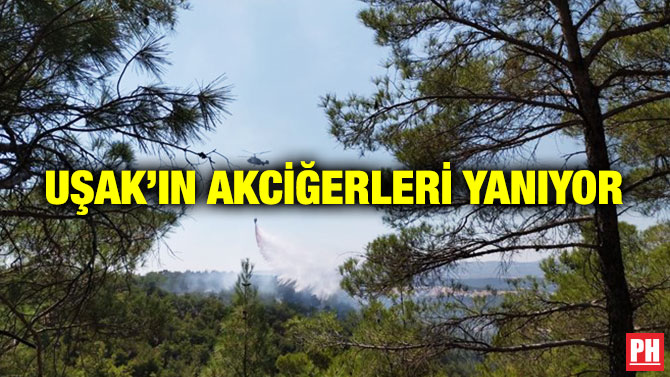 Uşak’ın Akciğerleri Yanıyor
