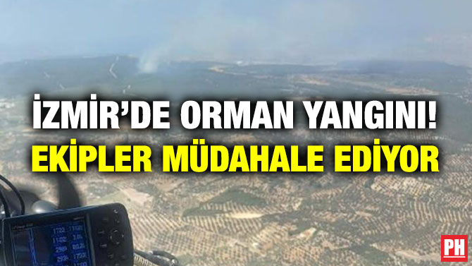 İzmir’de Orman Yangını! Ekipler Müdahale Ediyor