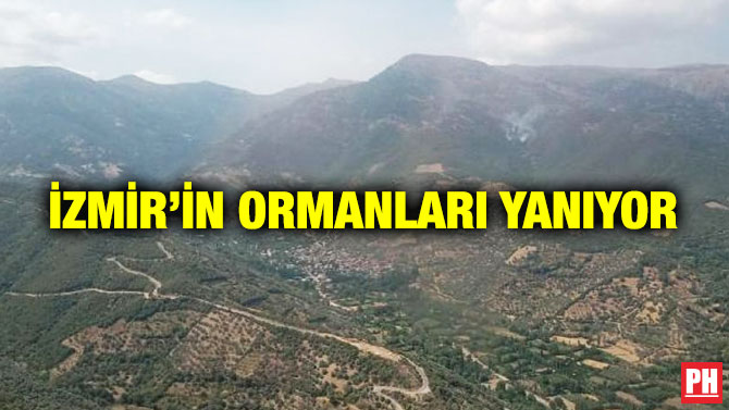İzmir’in Ormanları Yanıyor