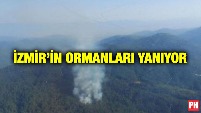 İzmir’in Ormanları Yanıyor