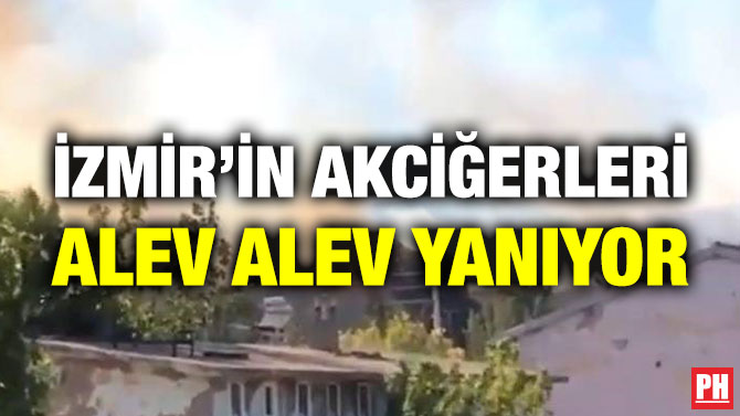 İzmir’in Akciğerleri Alev Alev Yanıyor