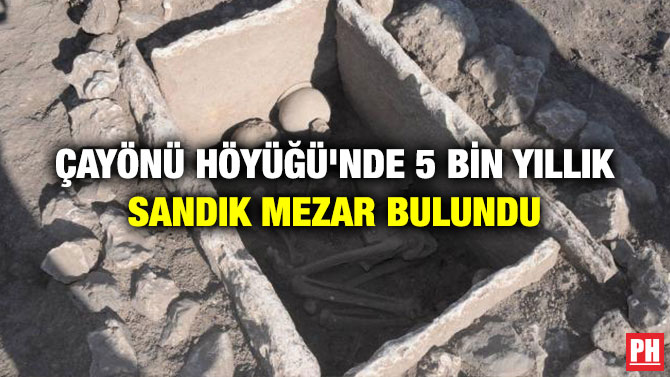 Çayönü Höyüğü’nde 5 Bin Yıllık Sandık Mezar Bulundu
