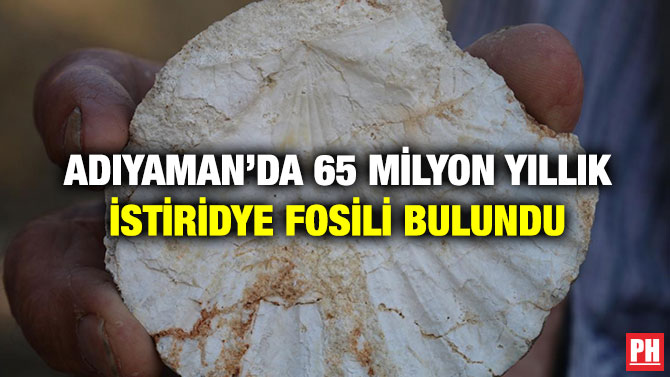 Adıyaman’da 65 Milyon Yıllık İstiridye Fosili Bulundu
