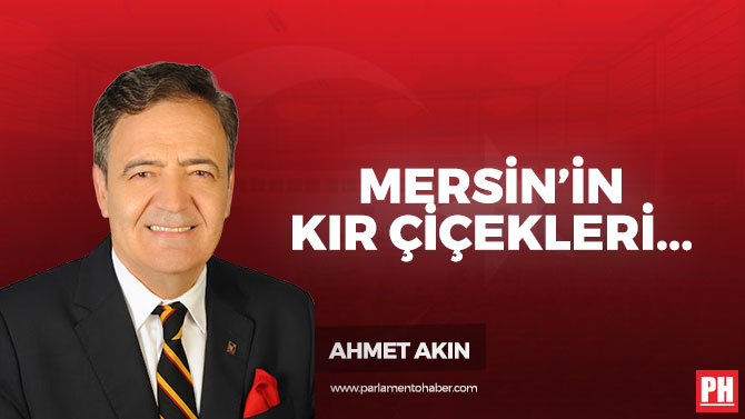 Mersin’in Kır Çiçekleri Büyükşehir Belediyesi Eliyle Yeşeriyor