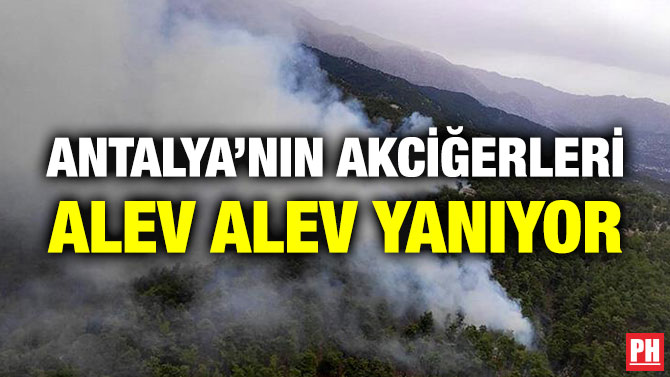 Antalya’nın Akciğerleri Alev Alev Yanıyor