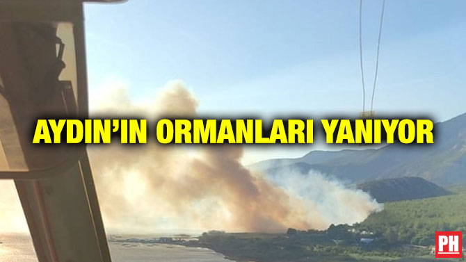 Aydın’ın Ormanları Yanıyor