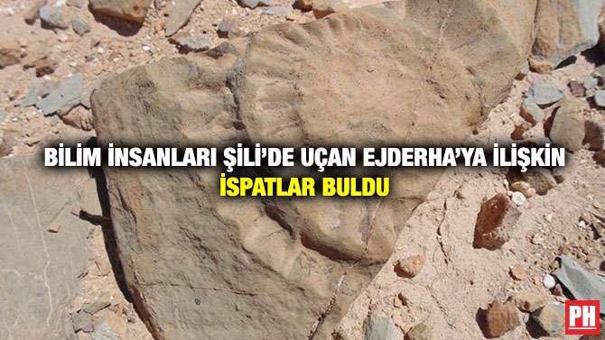 Bilim İnsanları Şili’de Uçan Ejderha’ya İlişkin İspatlar Buldu