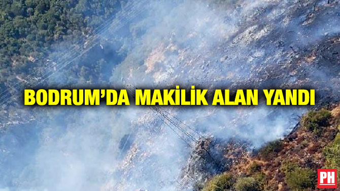 Bodrum’da Makilik Alan Yandı