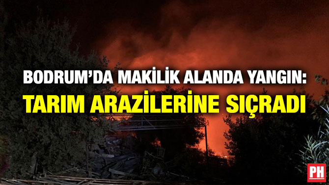 Bodrum’da Makilik Alanda Yangın: Tarım Arazilerine Sıçradı
