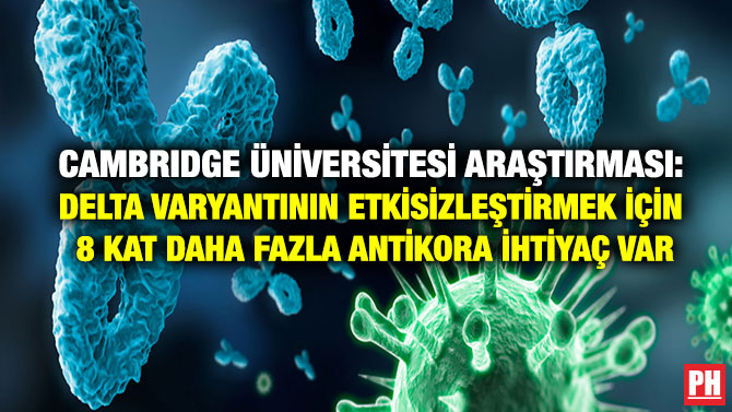 Cambridge Üniversitesi Araştırması: Delta Varyantının Etkisizleştirmek İçin 8 Kat Daha Fazla Antikora İhtiyaç Var