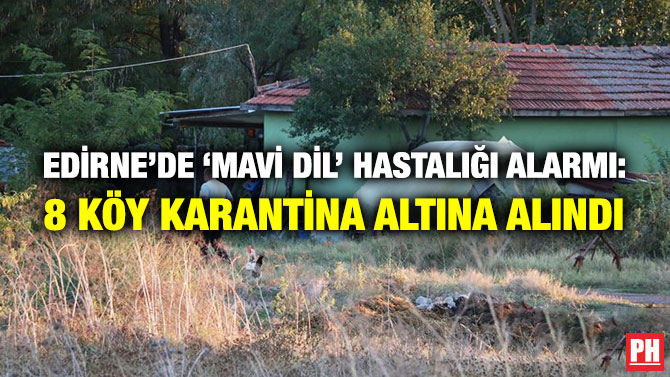 Edirne’de ‘Mavi Dil’ Hastalığı Alarmı: 8 Köy Karantina Altına Alındı