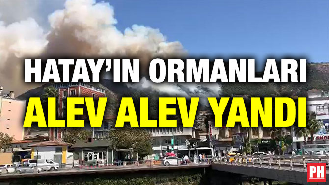 Hatay’ın Ormanları Alev Alev Yandı