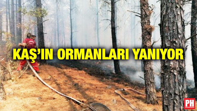 Kaş’ın Ormanları Yanıyor