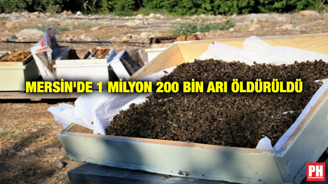 Mersin’de 1 Milyon 200 Bin Arı Öldürüldü