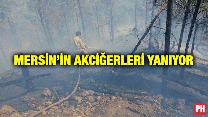 Mersin’in Akciğerleri Yanıyor