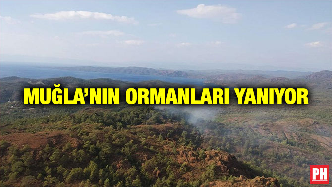 Muğla’nın Ormanları Yanıyor