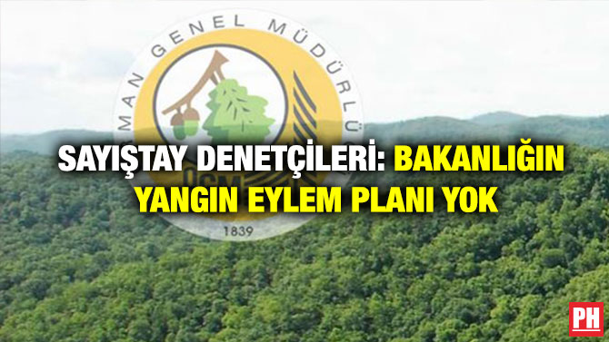 Sayıştay Denetçileri: Bakanlığın Yangın Eylem Planı Yok