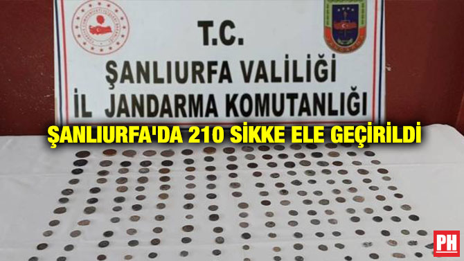 Şanlıurfa’da 210 Sikke Ele Geçirildi