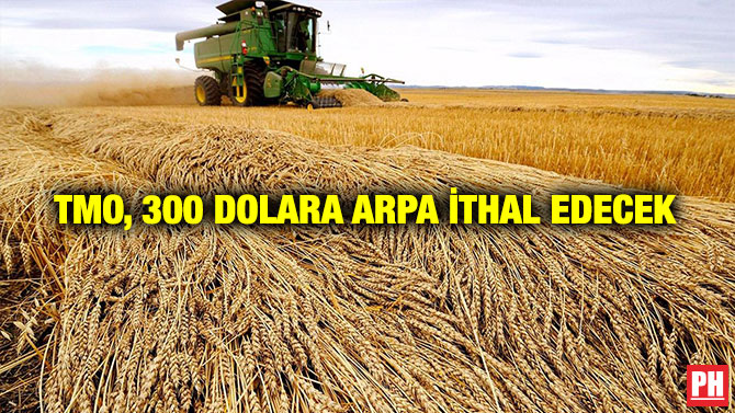 TMO, 300 Dolara Arpa İthal Edecek