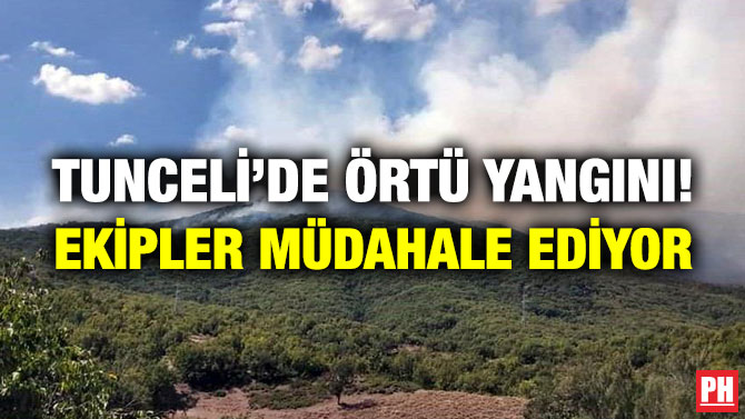 Tunceli’de Örtü Yangını! Ekipler Müdahale Ediyor