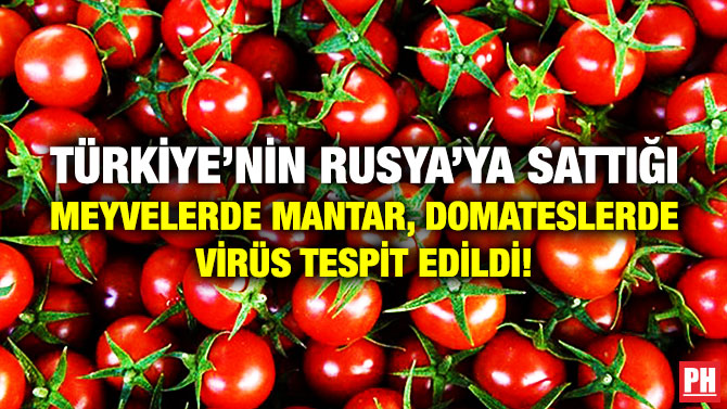 Türkiye’nin Rusya’ya Sattığı Meyvelerde Mantar, Domateslerde Virüs Tespit Edildi!
