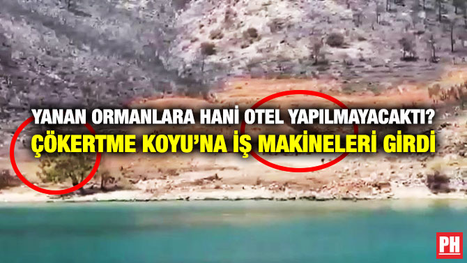 Yanan Ormanlara Hani Otel Yapılmayacaktı? Çökertme Koyu’na İş Makineleri Girdi