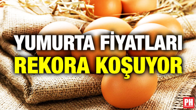 Yumurta Fiyatları Rekora Koşuyor