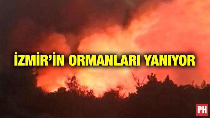 İzmir’in Ormanları Yanıyor