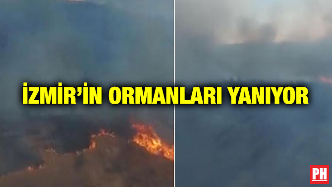 İzmir’in Ormanları Yanıyor