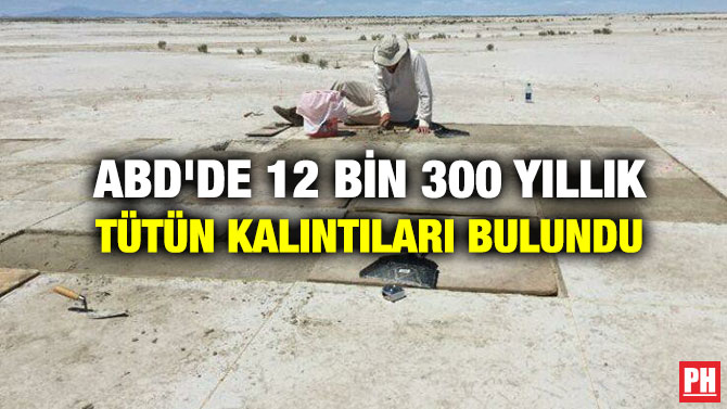 ABD’de 12 Bin 300 Yıllık Tütün Kalıntıları Bulundu