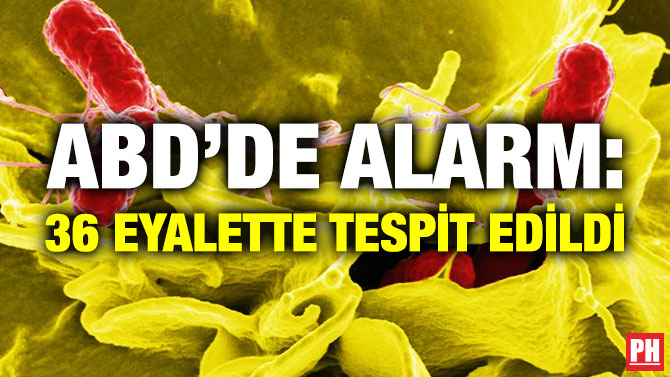 ABD’de Alarm: 36 Eyalette Tespit Edildi