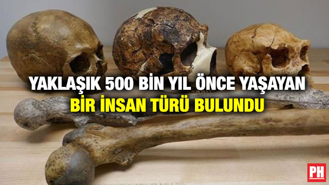 Yaklaşık 500 Bin Yıl Önce Yaşayan Bir İnsan Türü Bulundu