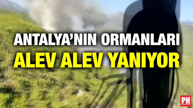 Antalya’nın Ormanları Alev Alev Yanıyor