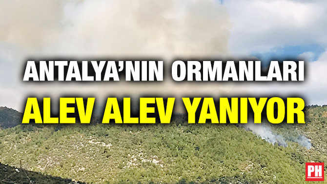 Antalya’nın Ormanları Alev Alev Yanıyor