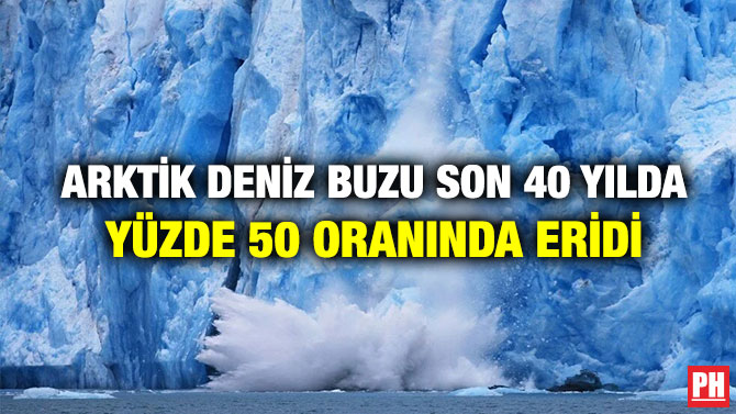 Arktik Deniz Buzu Son 40 Yılda Yüzde 50 Oranında Eridi