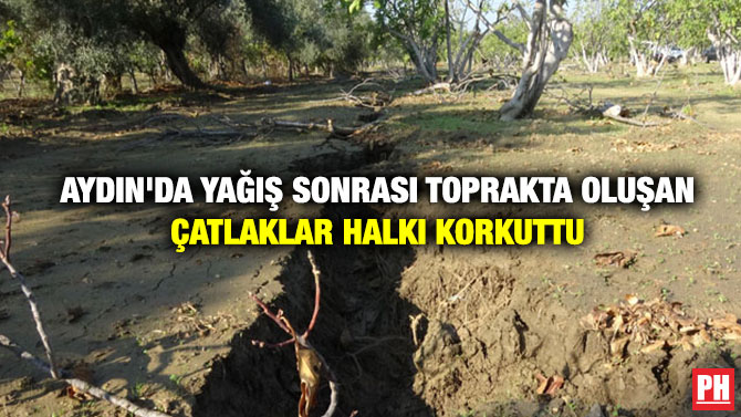 Aydın’da Yağış Sonrası Toprakta Oluşan Çatlaklar Halkı Korkuttu