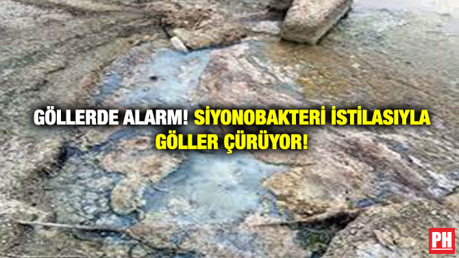 Göllerde Alarm! Siyonobakteri İstilasıyla Göller Çürüyor!